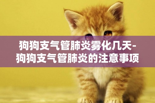 狗狗支氣管肺炎霧化幾天-狗狗支氣管肺炎的注意事項