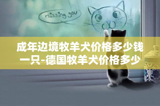 成年邊境牧羊犬價格多少錢一只-德國牧羊犬價格多少錢一只