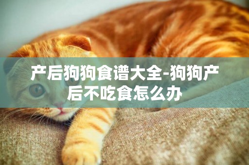 產后狗狗食譜大全-狗狗產后不吃食怎么辦