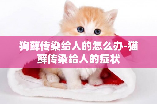 狗蘚傳染給人的怎么辦-貓蘚傳染給人的癥狀