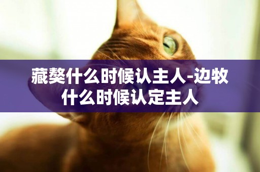 藏獒什么時候認主人-邊牧什么時候認定主人