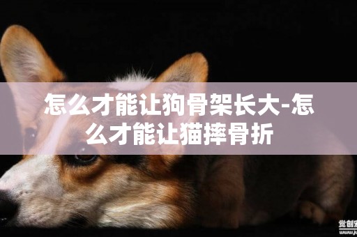 怎么才能讓狗骨架長大-怎么才能讓貓摔骨折