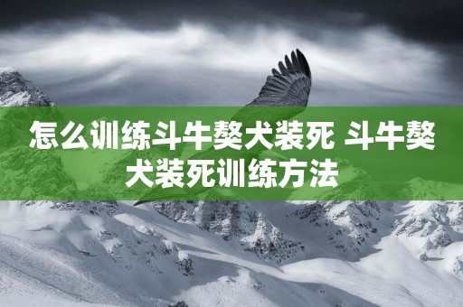 怎么訓練斗牛獒犬裝死 斗牛獒犬裝死訓練方法