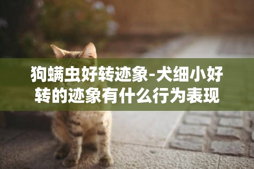 狗螨蟲好轉跡象-犬細小好轉的跡象有什么行為表現