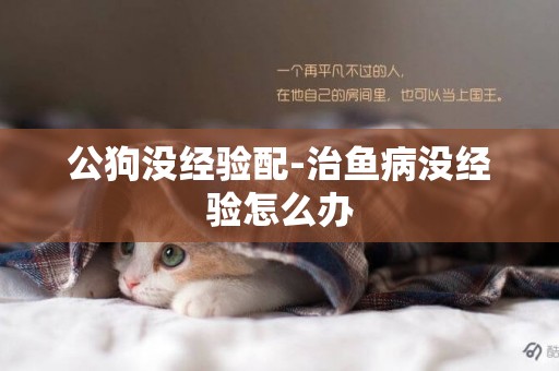 公狗沒經驗配-治魚病沒經驗怎么辦