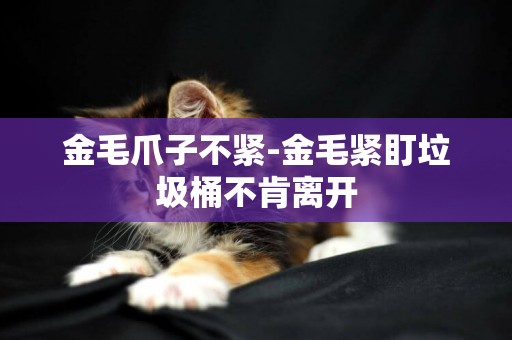 金毛爪子不緊-金毛緊盯垃圾桶不肯離開