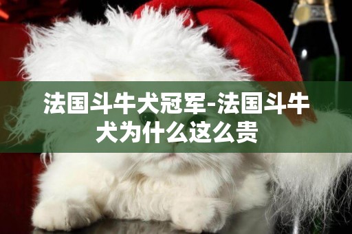 法國斗牛犬冠軍-法國斗牛犬為什么這么貴