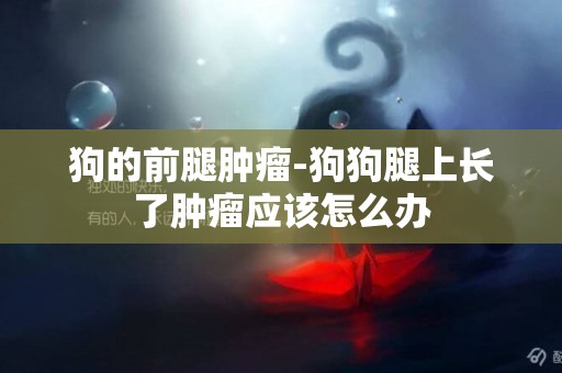 狗的前腿腫瘤-狗狗腿上長了腫瘤應該怎么辦