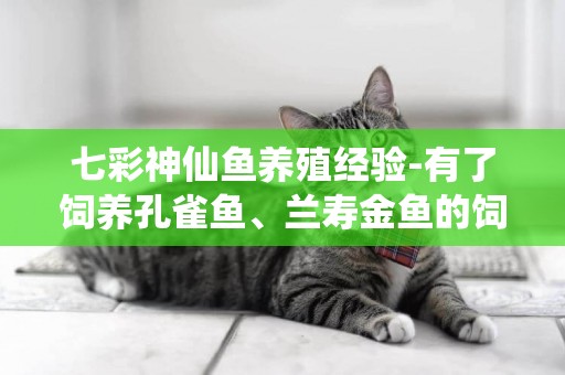 七彩神仙魚養殖經驗-有了飼養孔雀魚、蘭壽金魚的飼養經驗