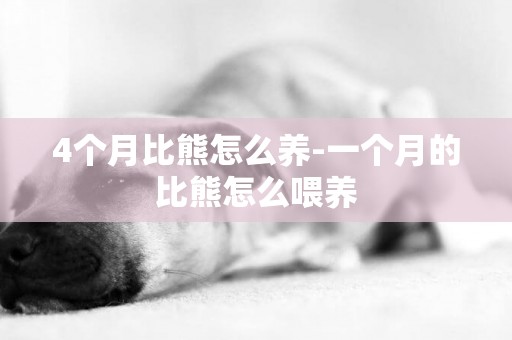 4個月比熊怎么養-一個月的比熊怎么喂養
