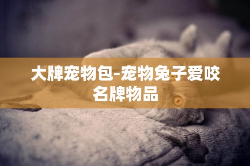 大牌寵物包-寵物兔子愛咬名牌物品