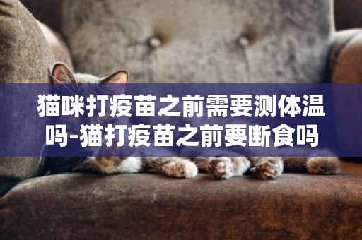 貓咪打疫苗之前需要測體溫嗎-貓打疫苗之前要斷食嗎