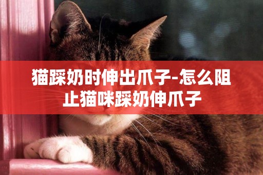 貓踩奶時伸出爪子-怎么阻止貓咪踩奶伸爪子