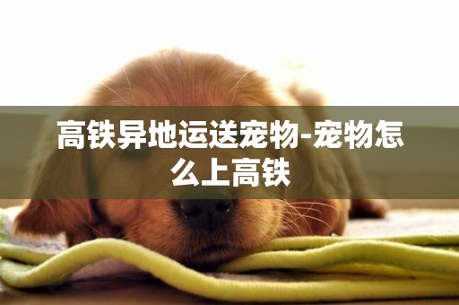 高鐵異地運送寵物-寵物怎么上高鐵