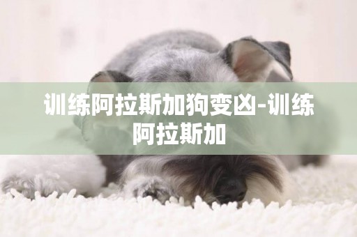 訓練阿拉斯加狗變兇-訓練阿拉斯加