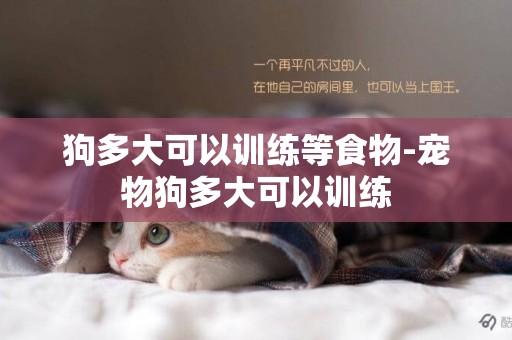 狗多大可以訓練等食物-寵物狗多大可以訓練