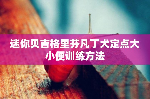 迷你貝吉格里芬凡丁犬定點大小便訓練方法
