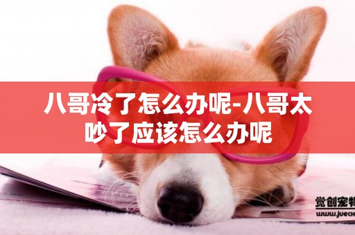 八哥冷了怎么辦呢-八哥太吵了應該怎么辦呢