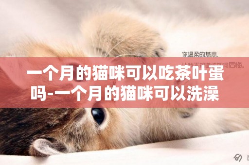 一個月的貓咪可以吃茶葉蛋嗎-一個月的貓咪可以洗澡嗎
