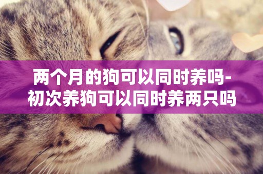 兩個月的狗可以同時養嗎-初次養狗可以同時養兩只嗎