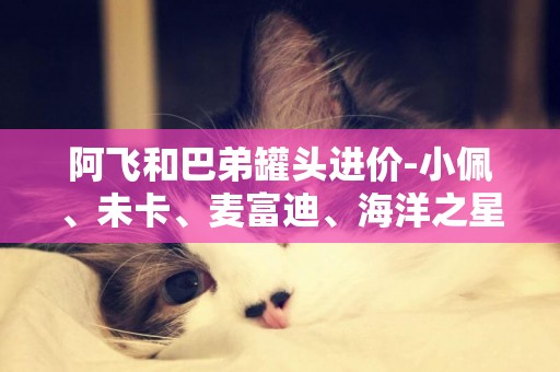 阿飛和巴弟罐頭進價-小佩、未卡、麥富迪、海洋之星、阿飛和巴弟