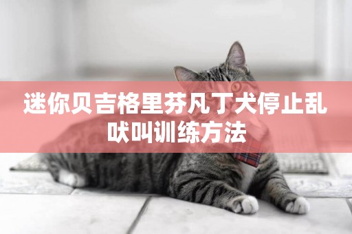 迷你貝吉格里芬凡丁犬停止亂吠叫訓練方法