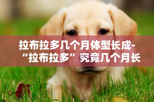 拉布拉多幾個月體型長成-“拉布拉多”究竟幾個月長成大狗呢