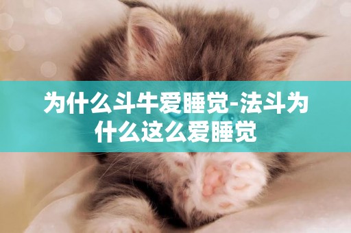 為什么斗牛愛睡覺-法斗為什么這么愛睡覺