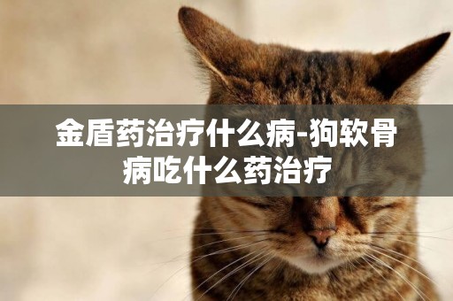金盾藥治療什么病-狗軟骨病吃什么藥治療