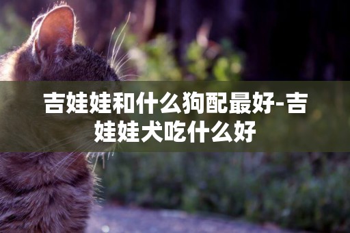 吉娃娃和什么狗配最好-吉娃娃犬吃什么好