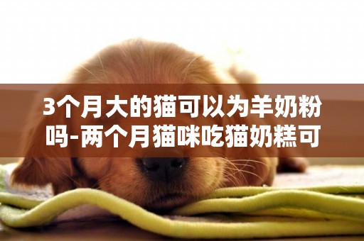 3個月大的貓可以為羊奶粉嗎-兩個月貓咪吃貓奶糕可以喝羊奶粉嗎