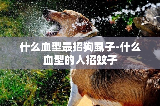 什么血型最招狗虱子-什么血型的人招蚊子