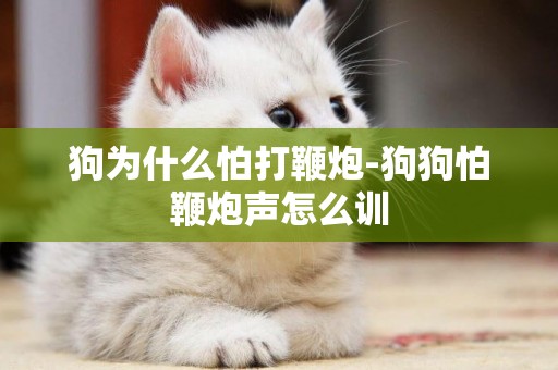 狗為什么怕打鞭炮-狗狗怕鞭炮聲怎么訓