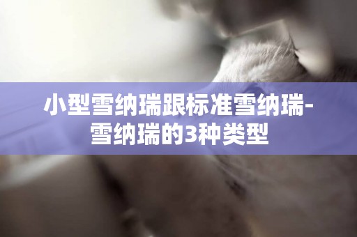 小型雪納瑞跟標準雪納瑞-雪納瑞的3種類型