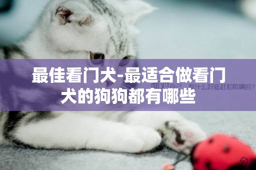 最佳看門犬-最適合做看門犬的狗狗都有哪些