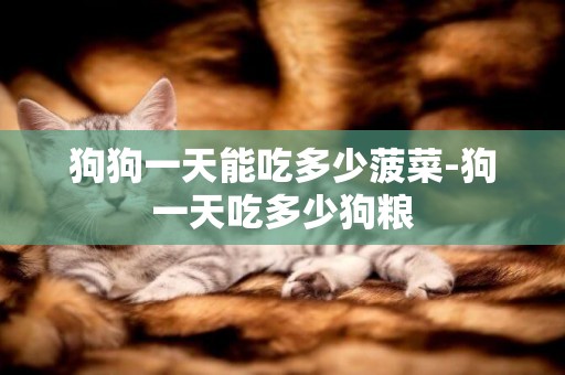 狗狗一天能吃多少菠菜-狗一天吃多少狗糧
