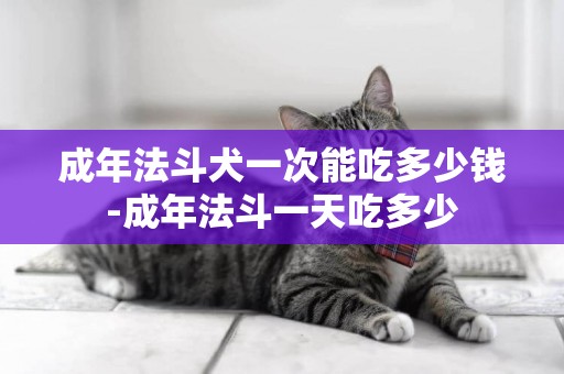 成年法斗犬一次能吃多少錢-成年法斗一天吃多少