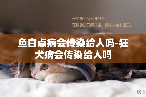 魚白點病會傳染給人嗎-狂犬病會傳染給人嗎