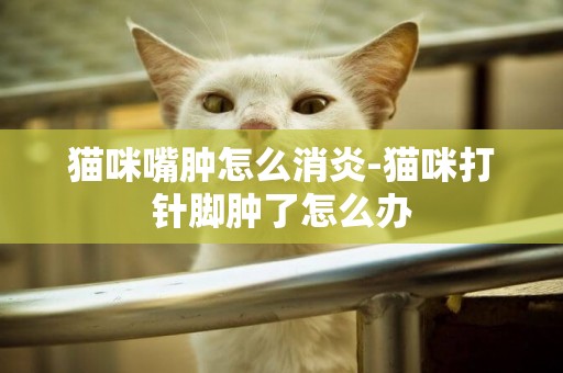 貓咪嘴腫怎么消炎-貓咪打針腳腫了怎么辦