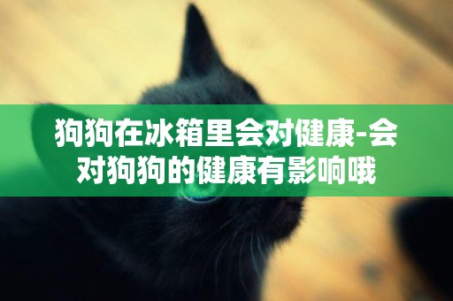 狗狗在冰箱里會對健康-會對狗狗的健康有影響哦