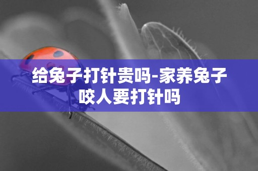 給兔子打針貴嗎-家養兔子咬人要打針嗎