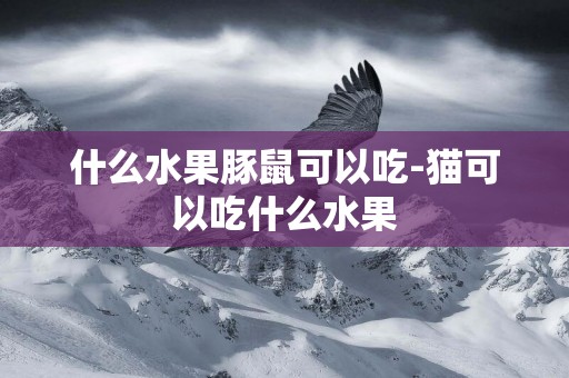 什么水果豚鼠可以吃-貓可以吃什么水果