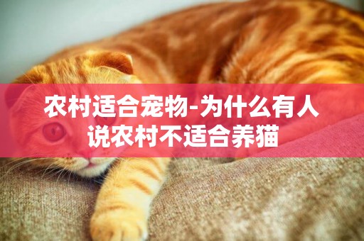 農村適合寵物-為什么有人說農村不適合養貓