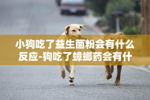 小狗吃了益生菌粉會有什么反應-狗吃了蟑螂藥會有什么反應