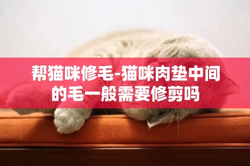 幫貓咪修毛-貓咪肉墊中間的毛一般需要修剪嗎