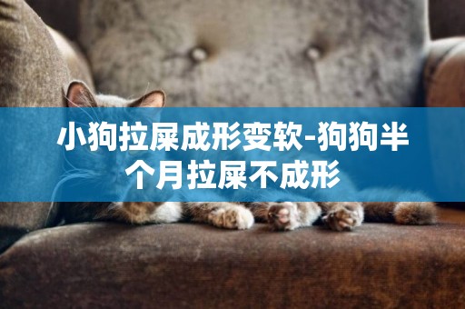 小狗拉屎成形變軟-狗狗半個月拉屎不成形