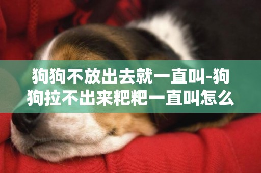 狗狗不放出去就一直叫-狗狗拉不出來粑粑一直叫怎么辦