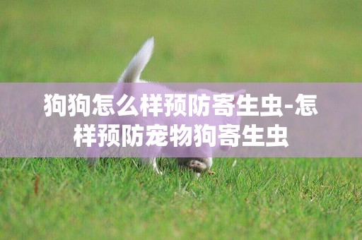 狗狗怎么樣預防寄生蟲-怎樣預防寵物狗寄生蟲