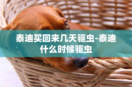 泰迪買回來幾天驅蟲-泰迪什么時候驅蟲