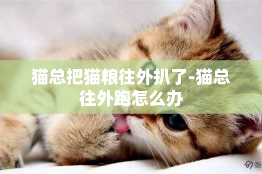 貓總把貓糧往外扒了-貓總往外跑怎么辦
